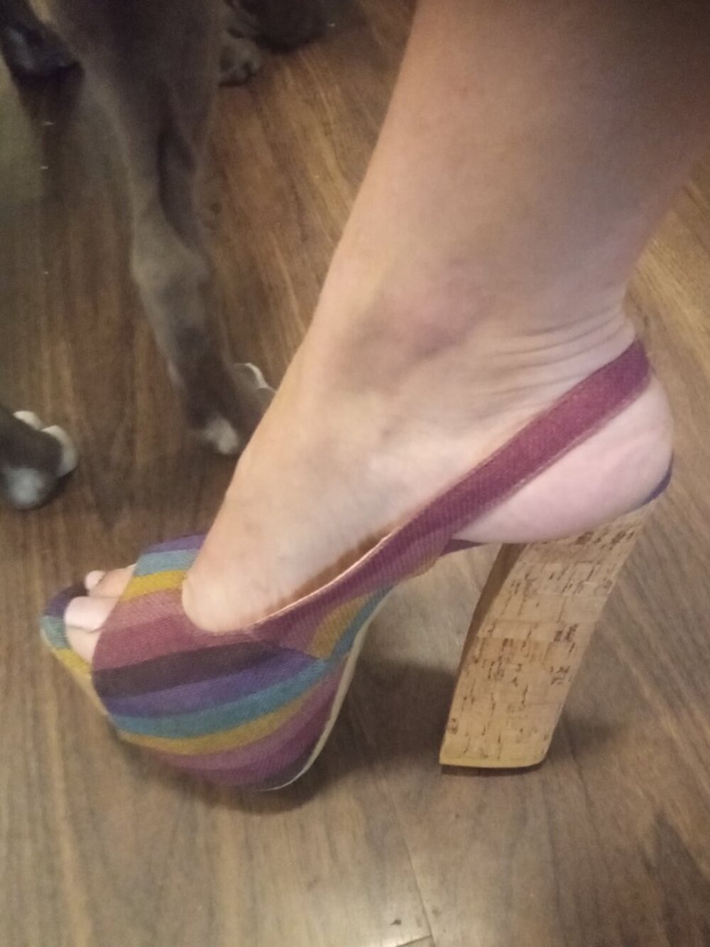 Never worn multi color heels - Picture 1 of 4